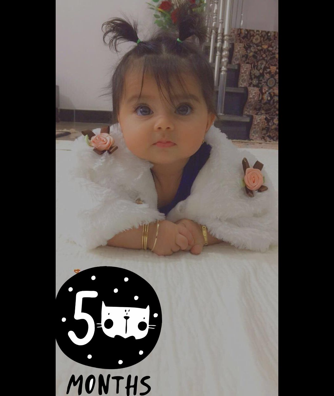 صورت دل آرام احمدی