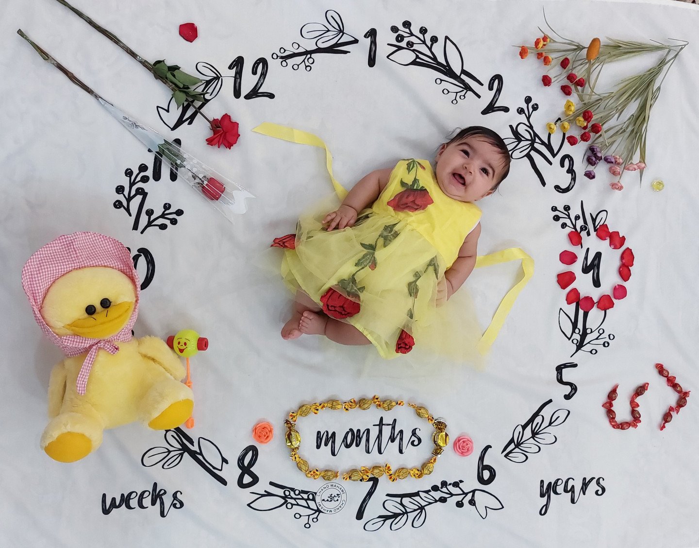 دفتر-داستان-بارداری-54797