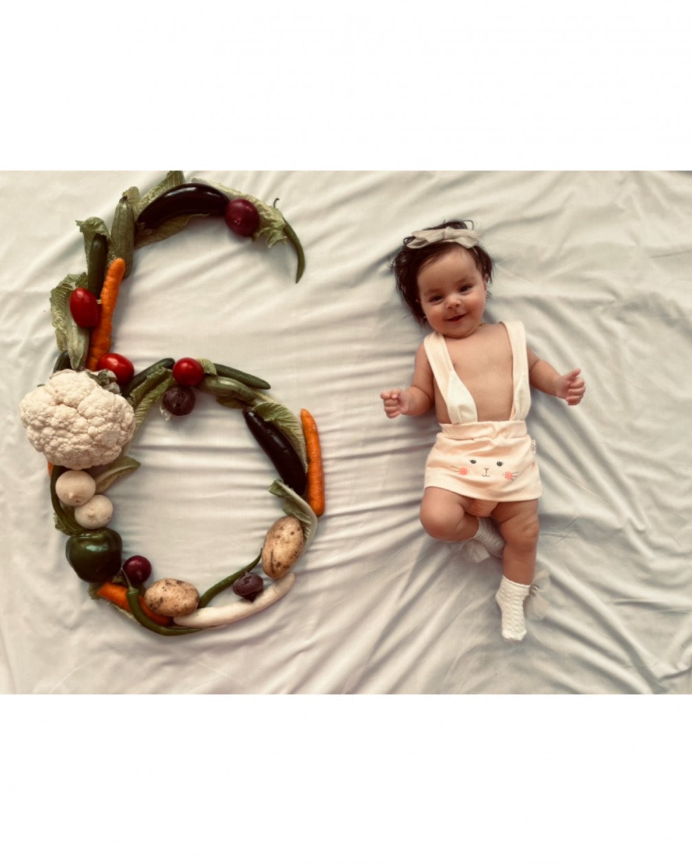 عکاسی با میوه نوراشاکری تبار