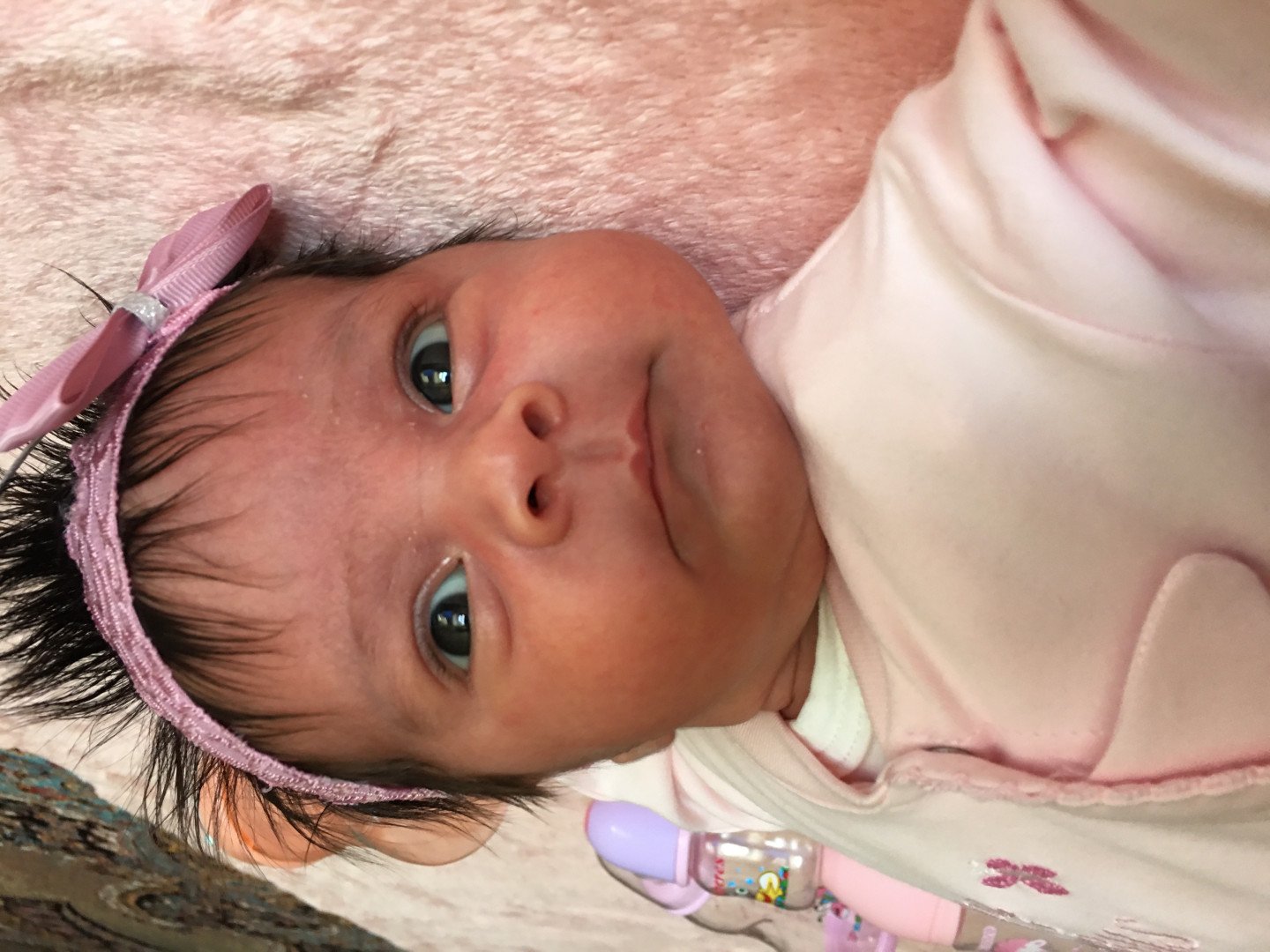 یک ماهگی نوزاد نوراشاکری تبار