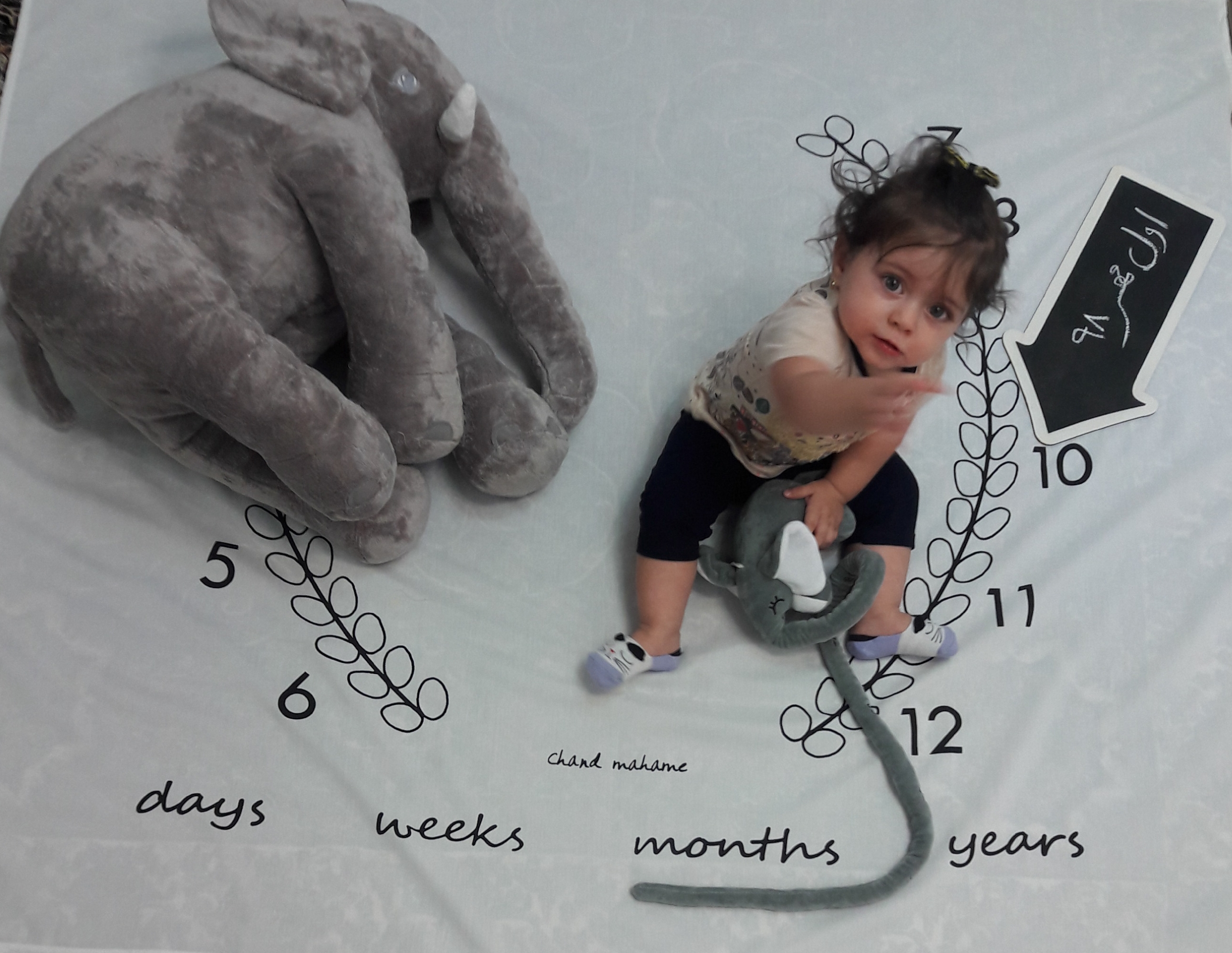 تخته-سیاه-مدل-فلش-4262