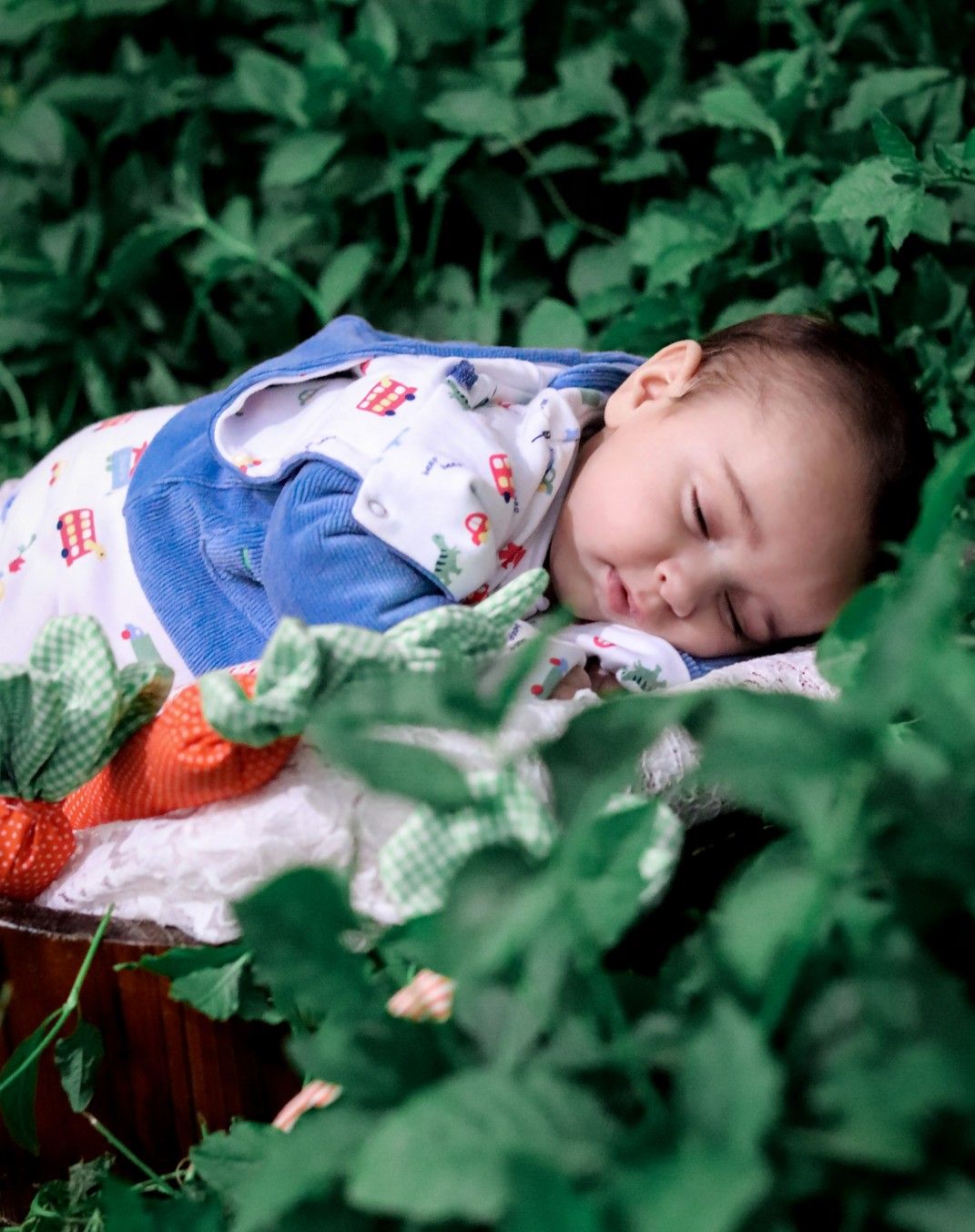 سه ماهگی نوزاد mahanariankia