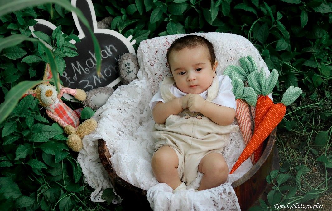 تخته سیاه خرگوشی mahanariankia