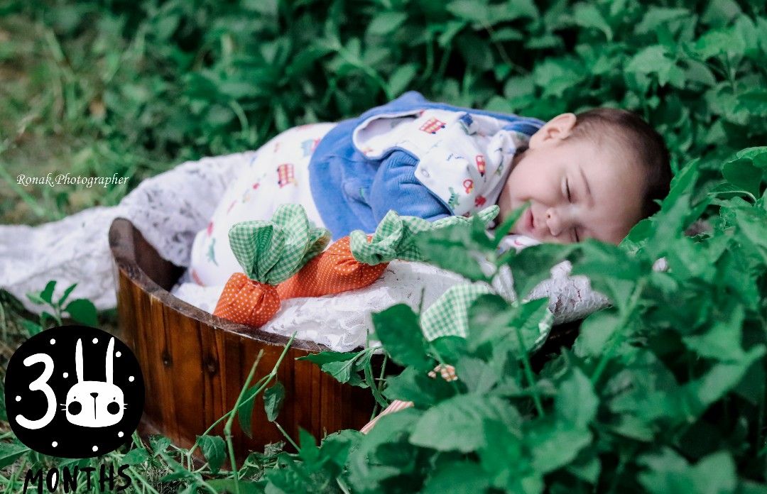 تخته سیاه خرگوشی mahanariankia