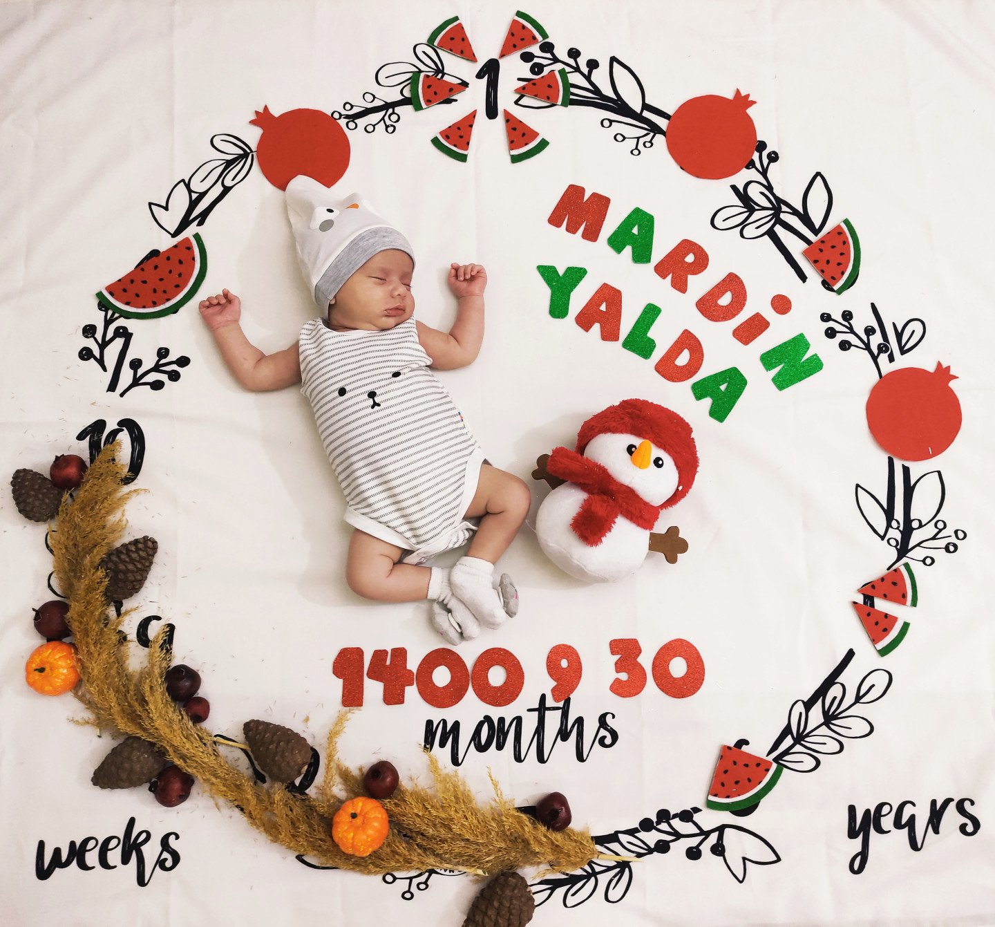 تم عکس زمستانی نوزاد ماردین طاهری