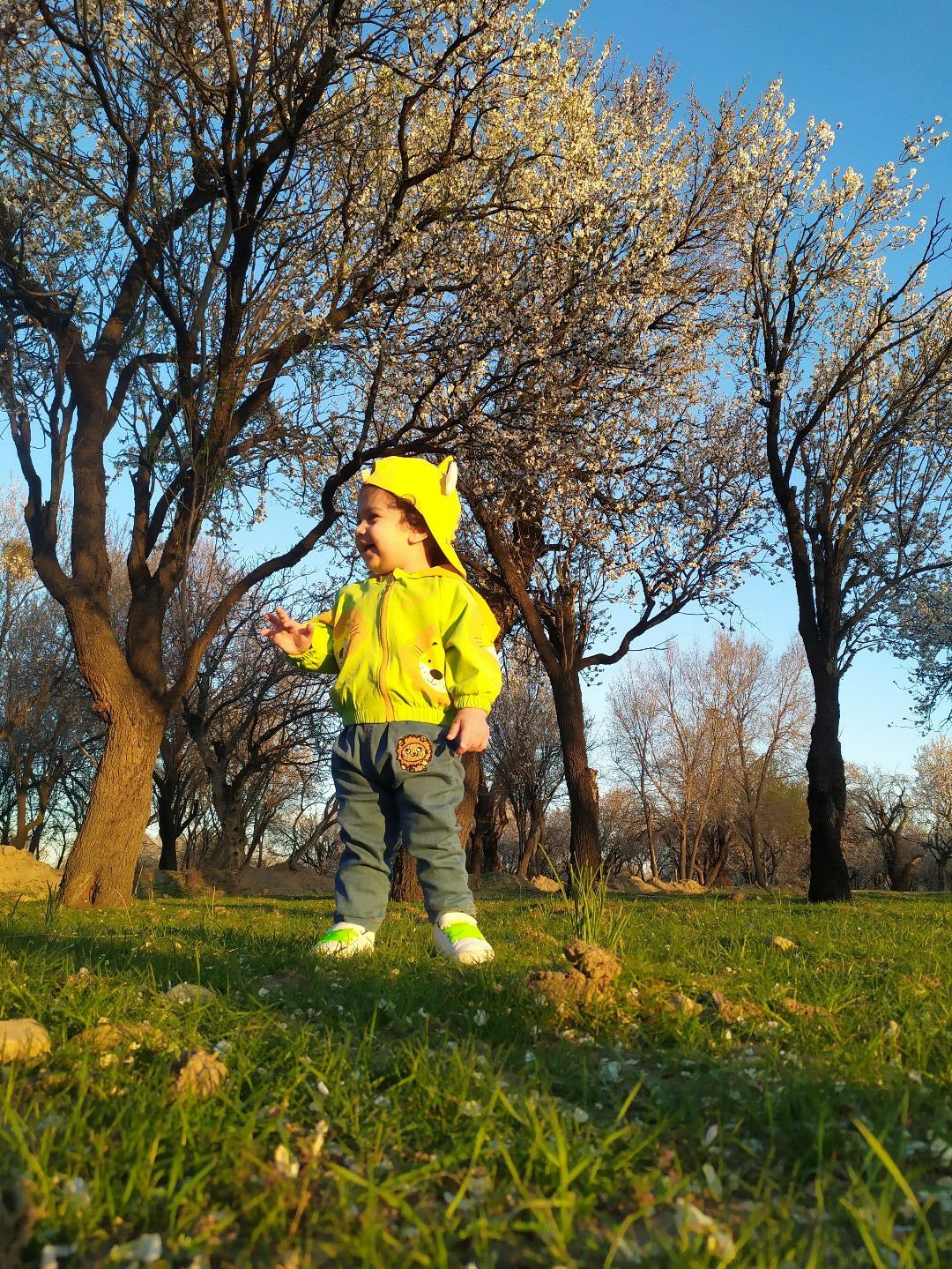 عید-نوروز ماهان اکبری