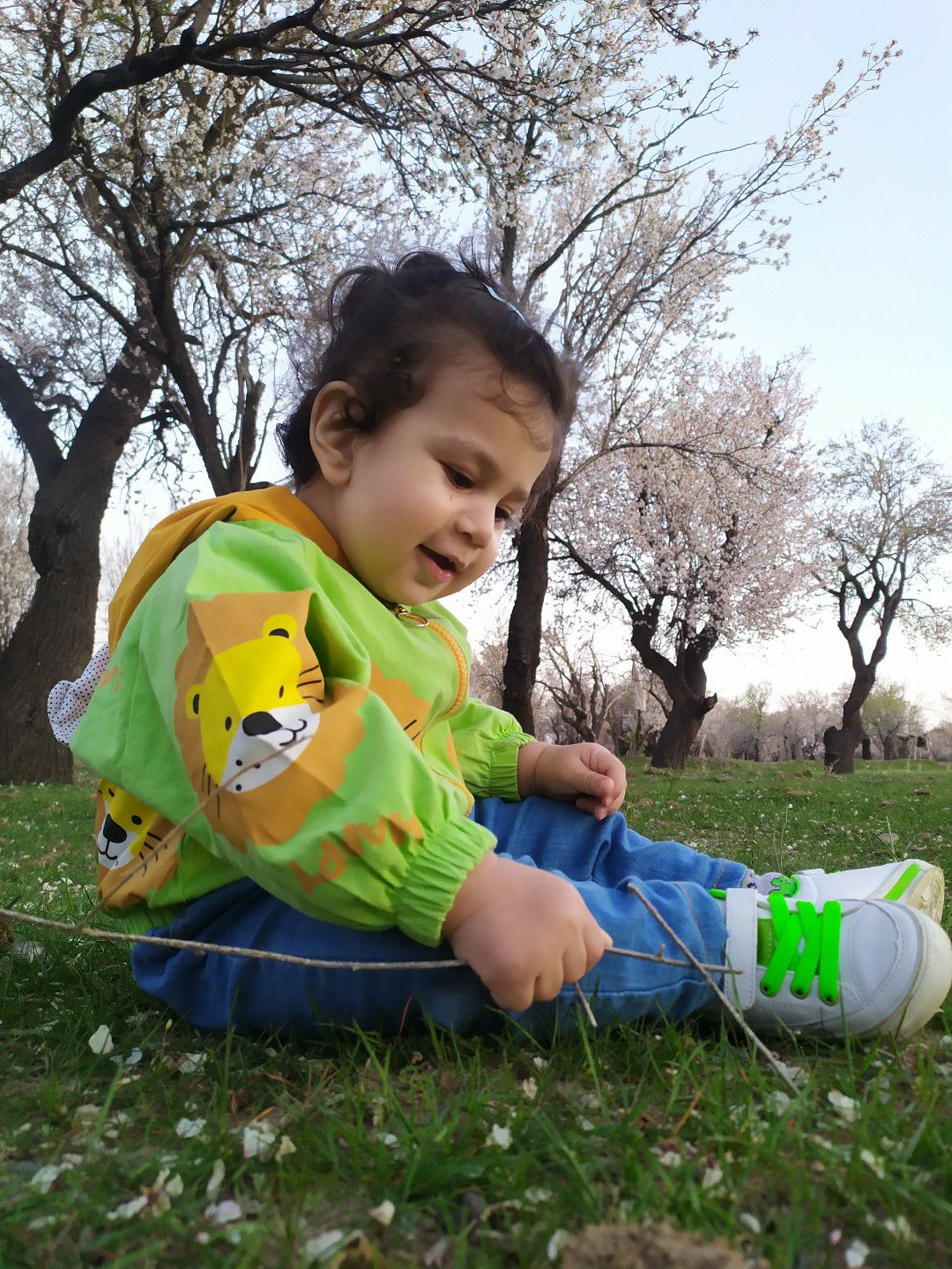 عید-نوروز ماهان اکبری