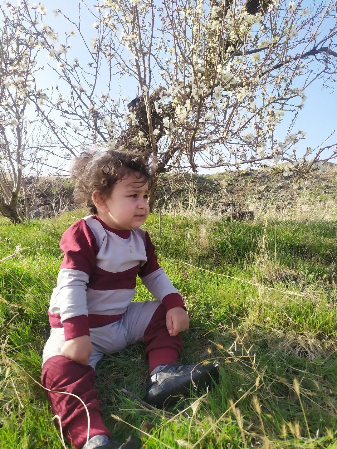 فروردین ماهان اکبری