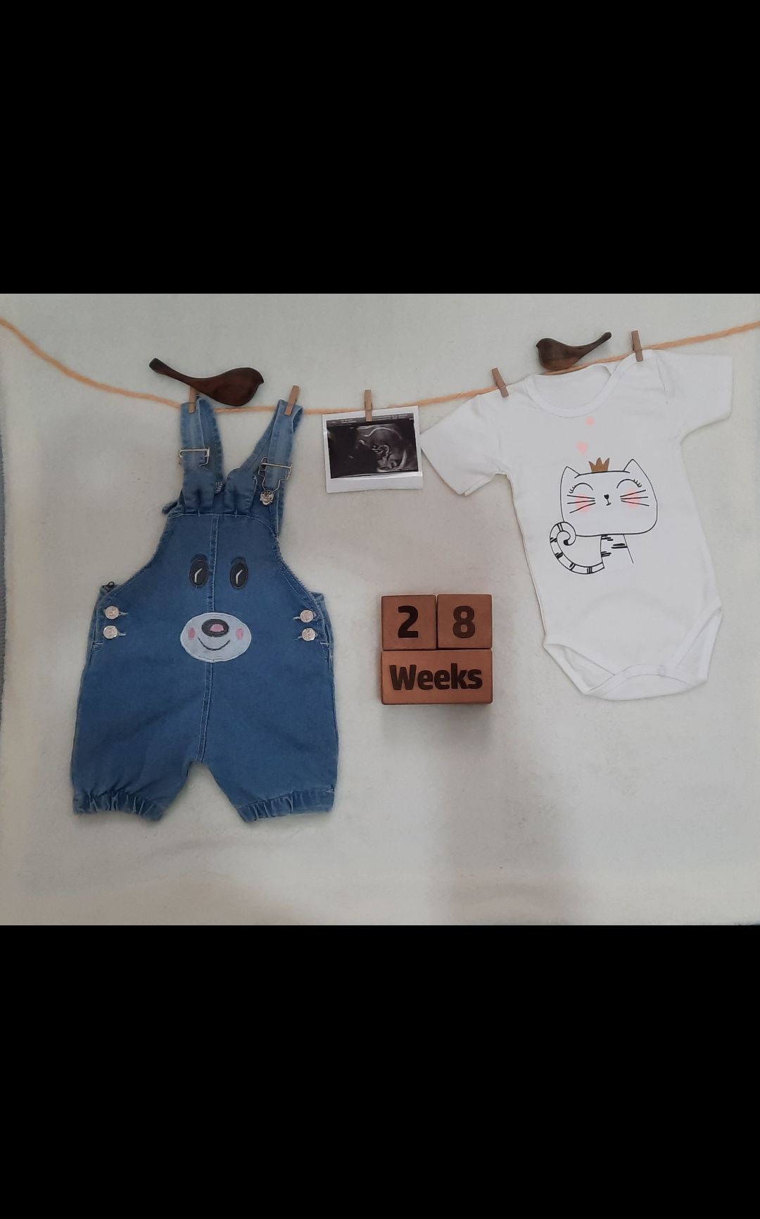 بارداری دلسا