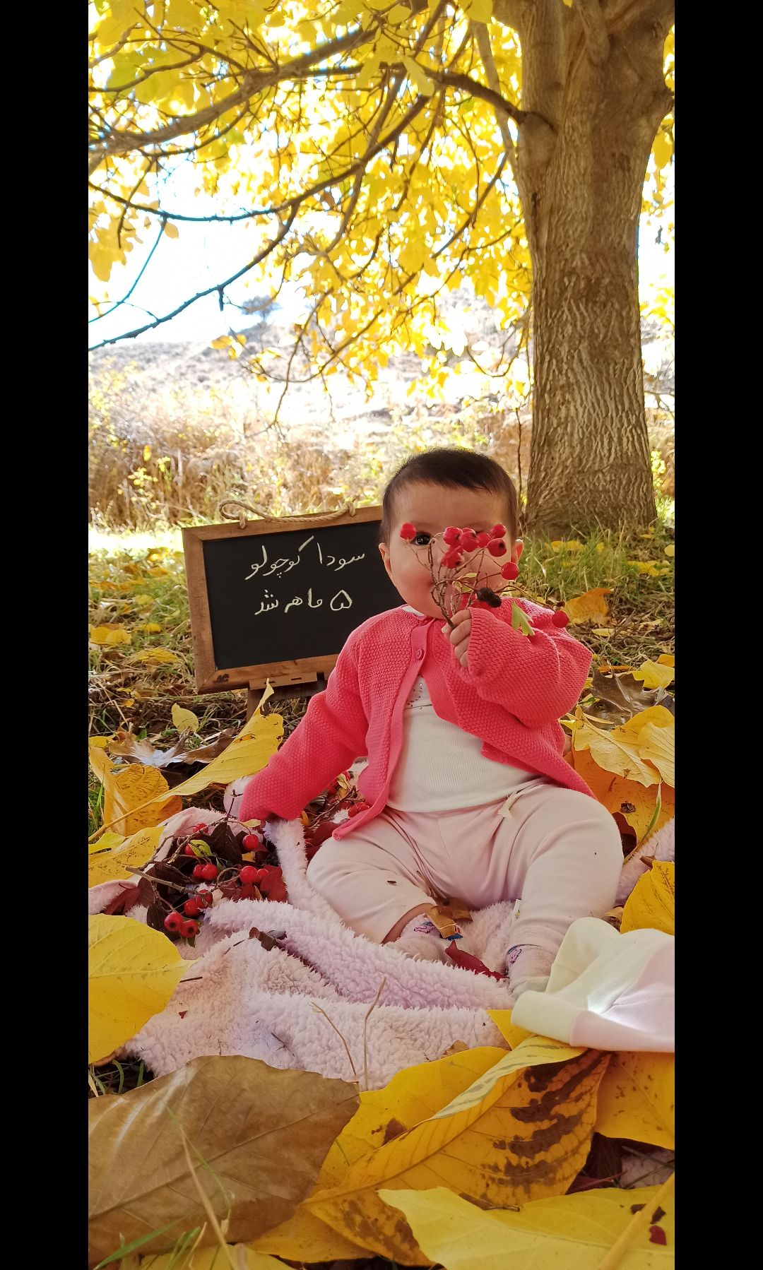 تم عکس پاییزی نوزاد سودا