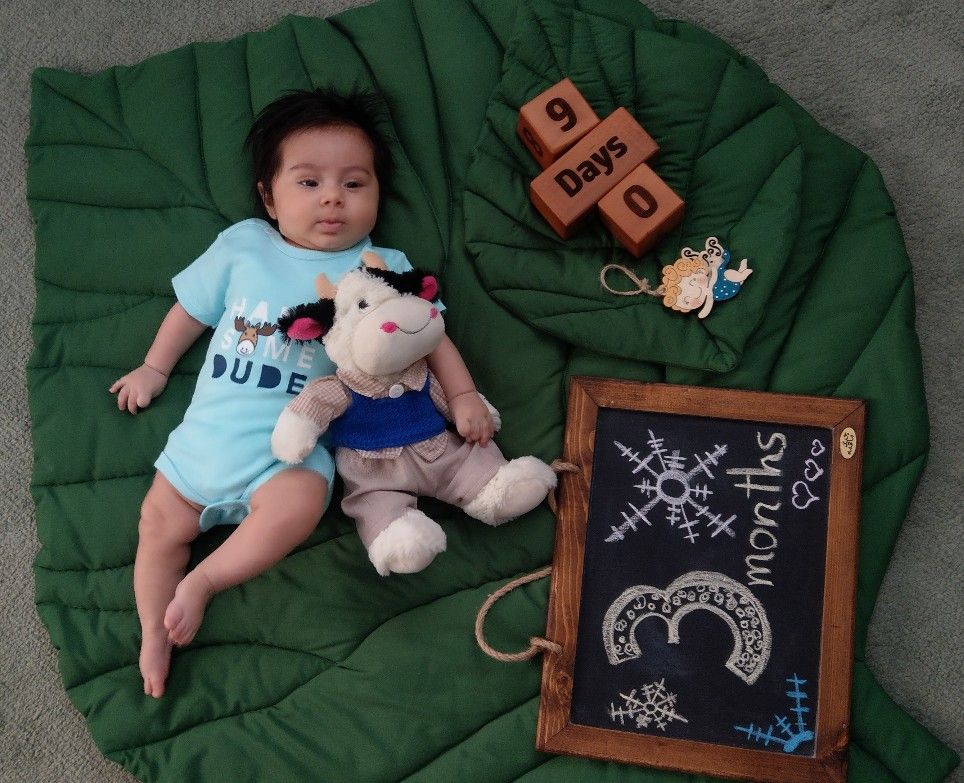 بهمن امیرعلی