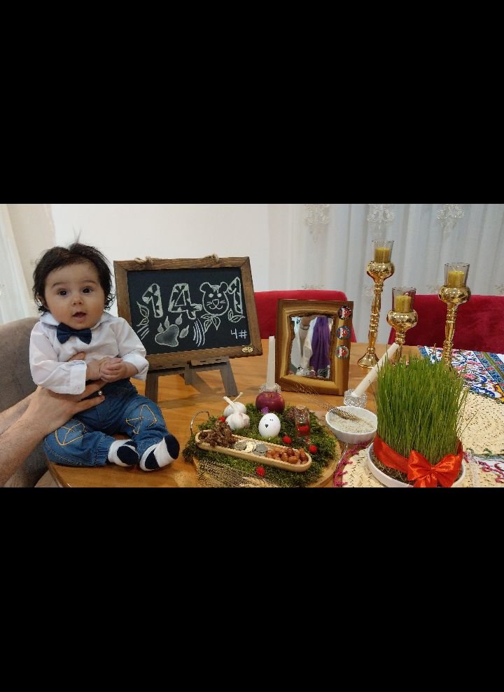 فروردین امیرعلی