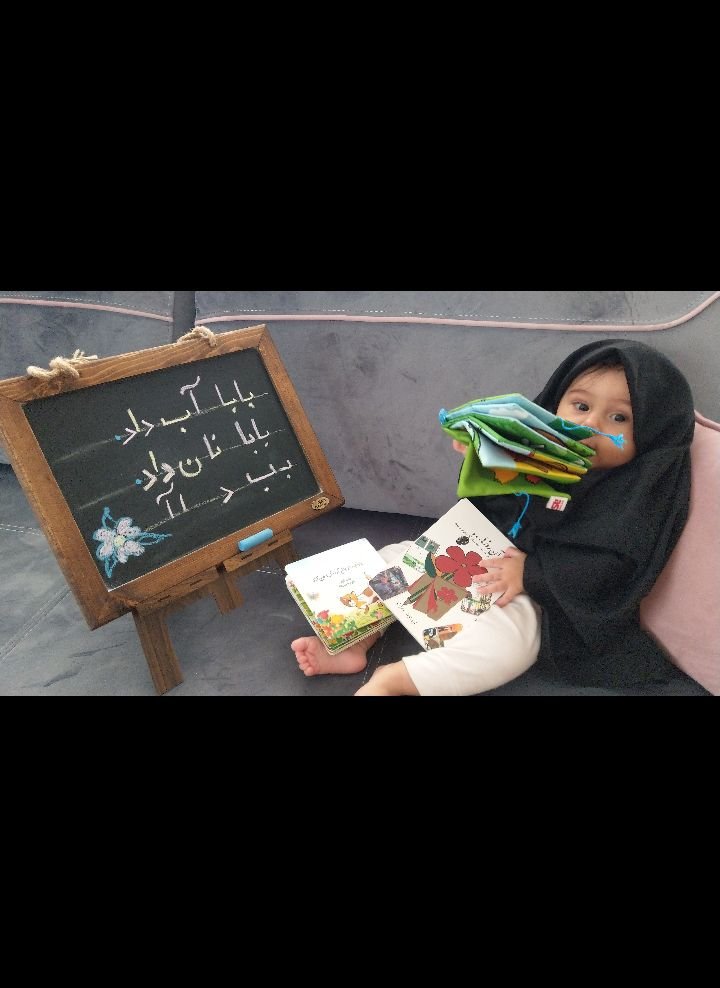 ایده امیرعلی