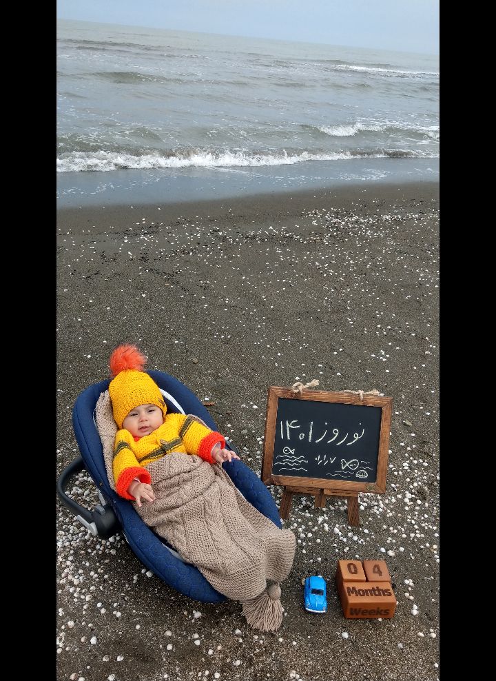 فروردین امیرعلی