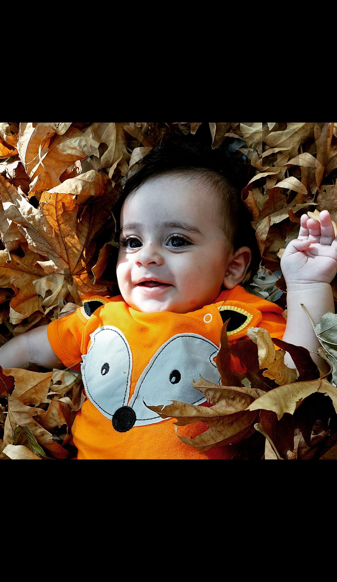 ایده آدین صداقت