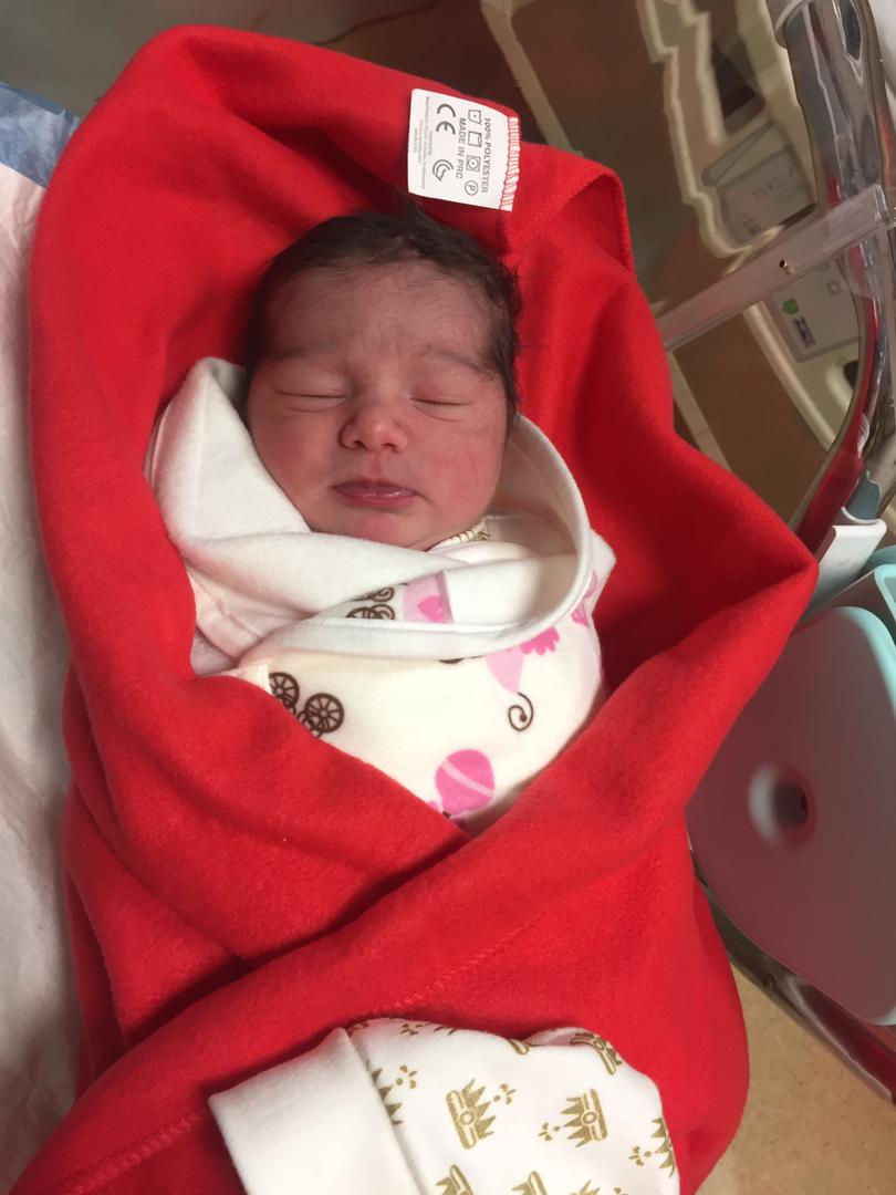 متولد شدن نوزاد نوژان شیری دولت آبادی