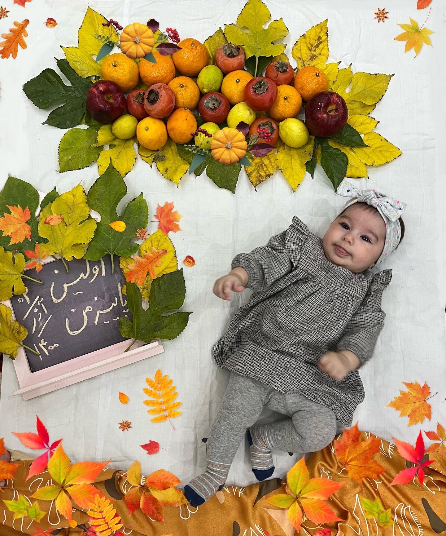 تم عکس پاییزی نوزاد نوژان شیری دولت آبادی