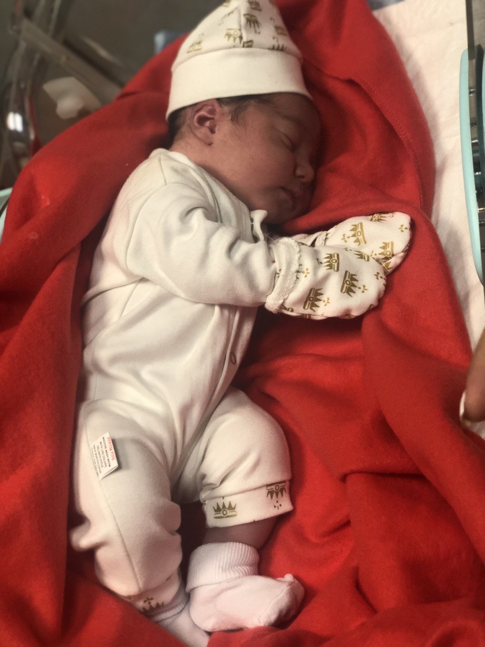 متولد شدن نوزاد نوژان شیری دولت آبادی