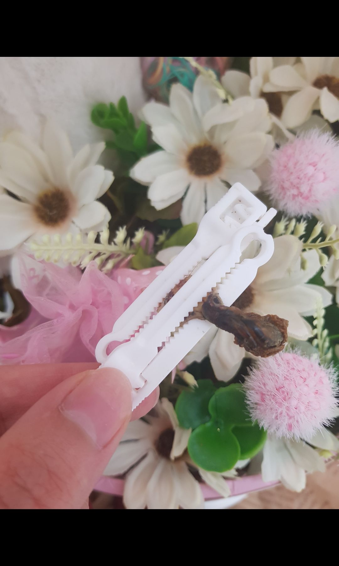 سلین-ساریان سلین