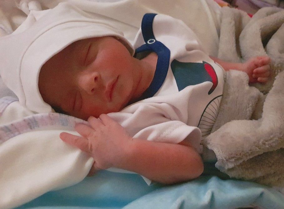 تم-پاییزی آیکان