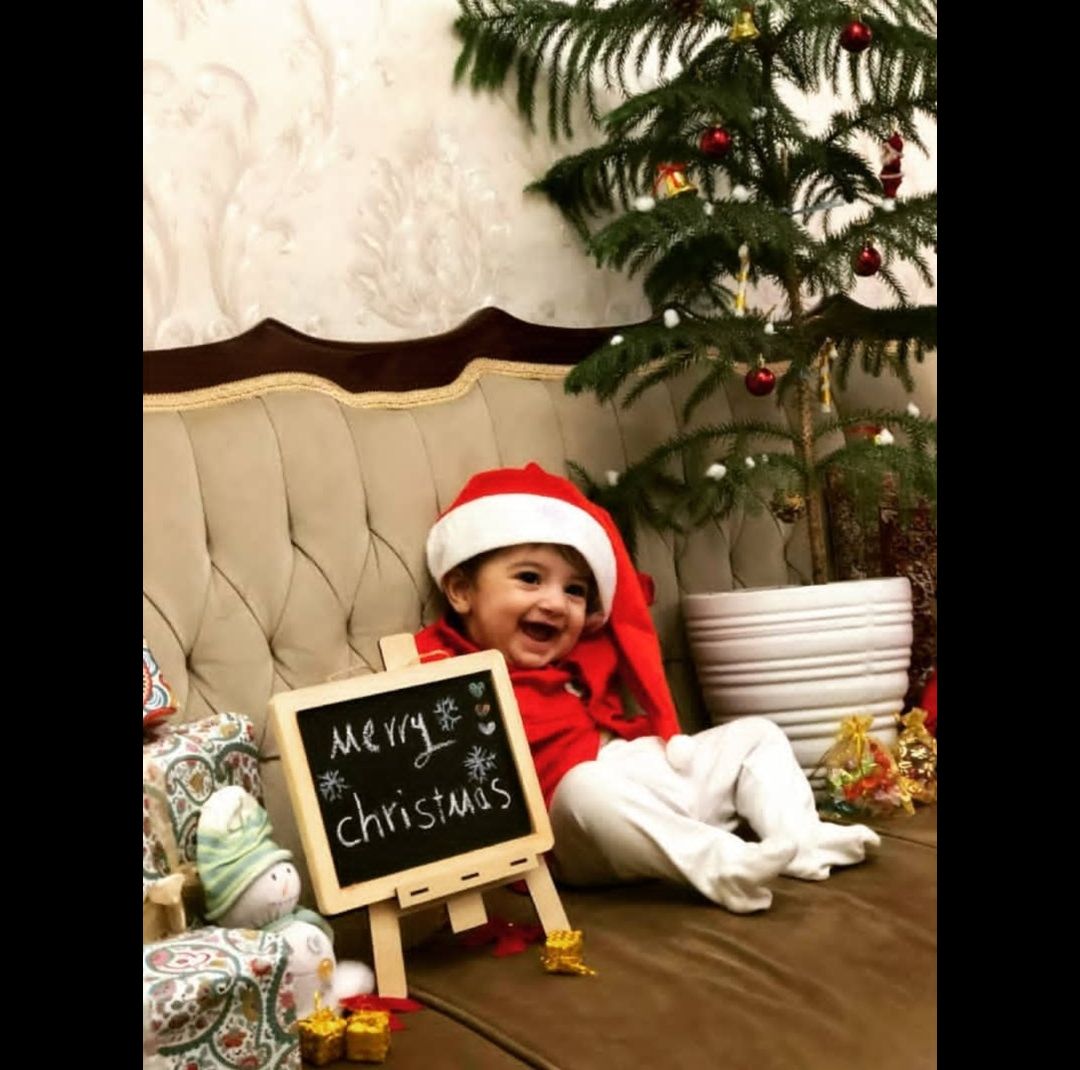 تم-جنگل مایسا