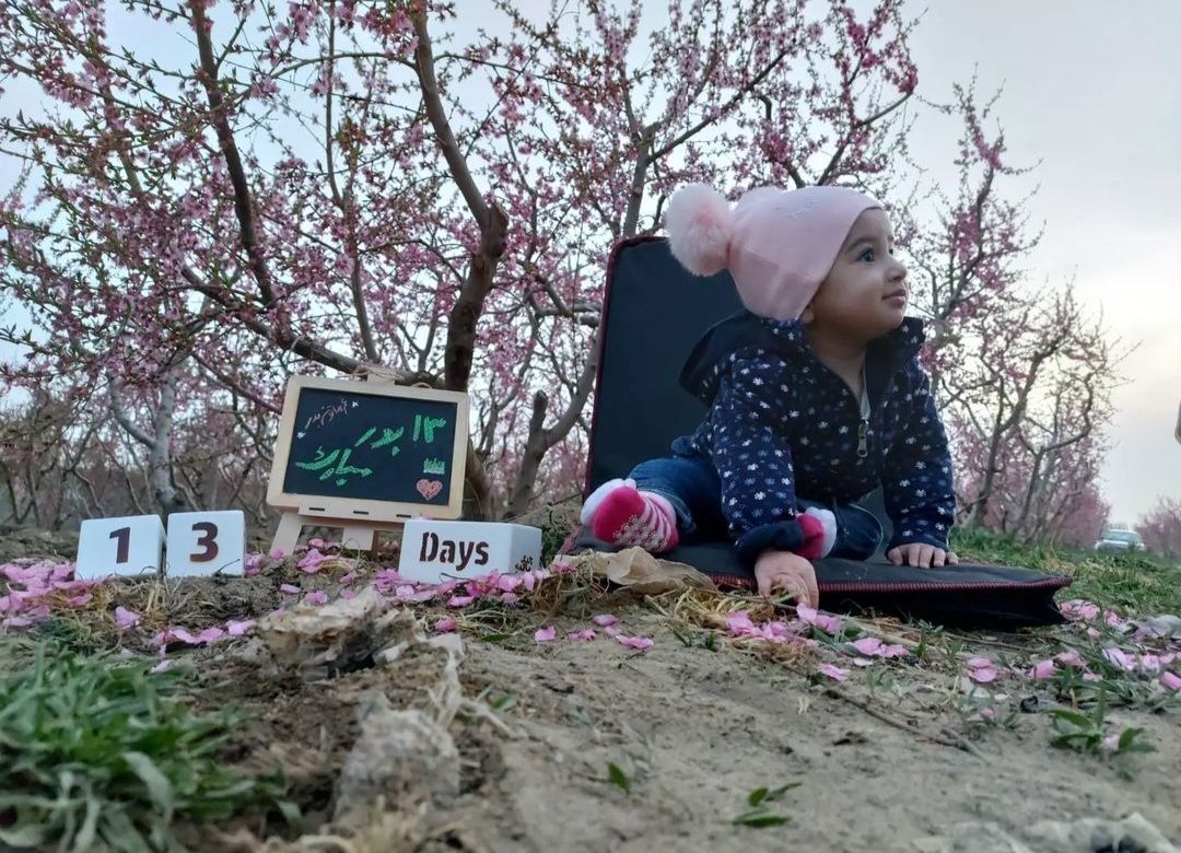 تخته-سیاه-فانتزی مایسا