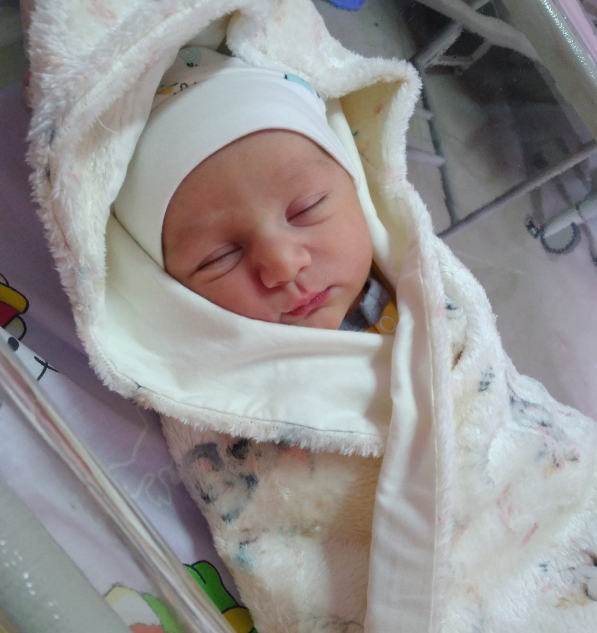 متولد شدن نوزاد محمدطاها محمدی