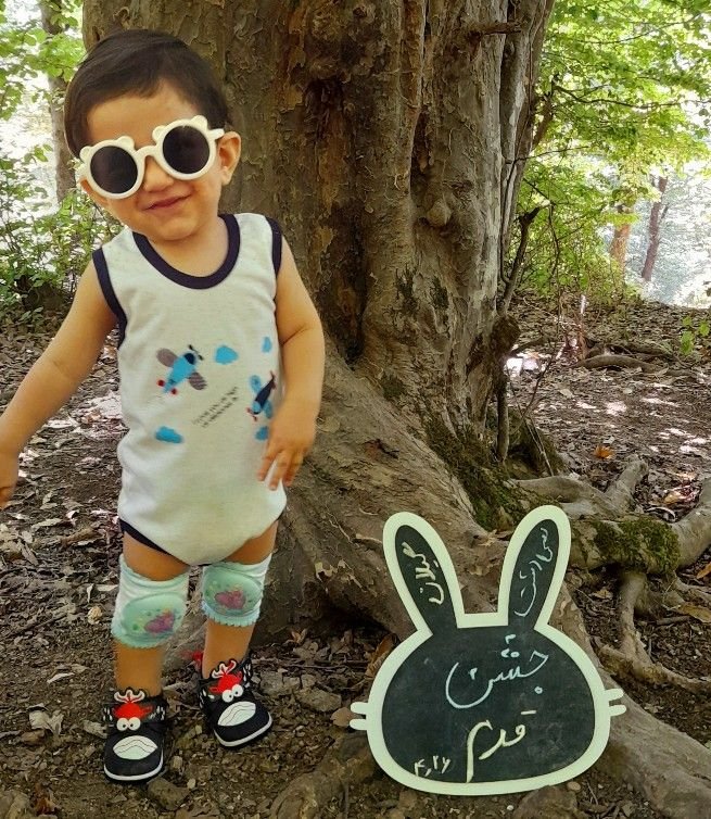 تخته سیاه خرگوشی رادمهر مدنی