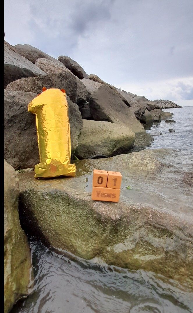 دوازده ماهگی نوزاد رادمهر مدنی