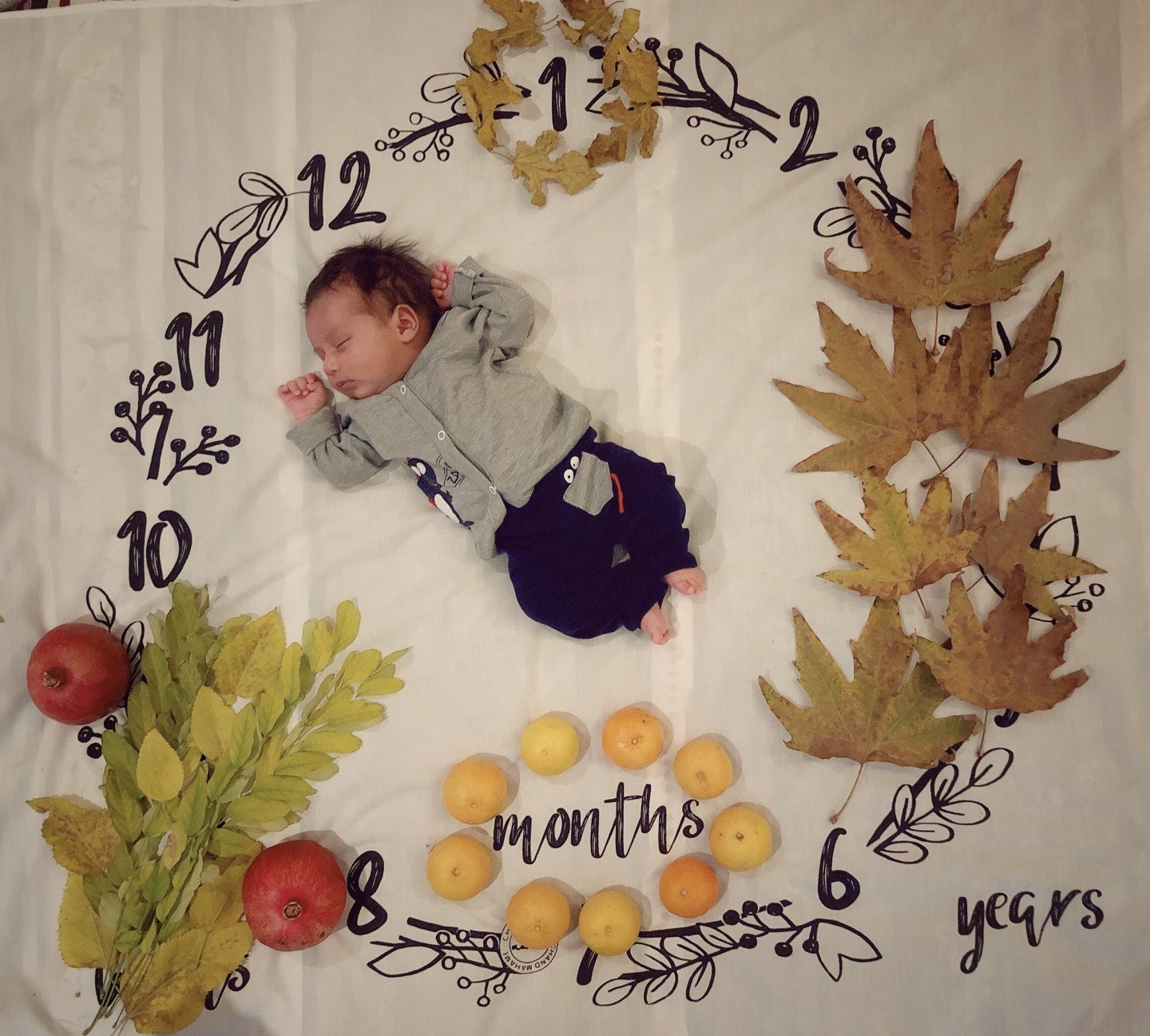 تم عکس پاییزی نوزاد یاسین محمدپور آذری