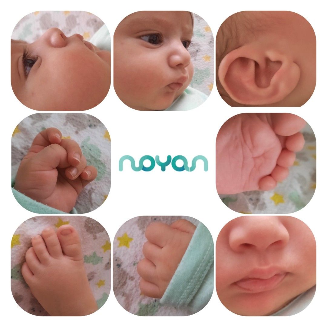 اجزای-صورت نویان حبیب زاده