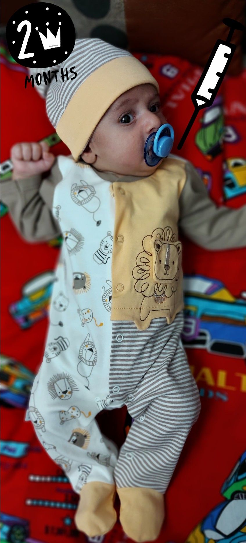 دو-ماهگی تیام