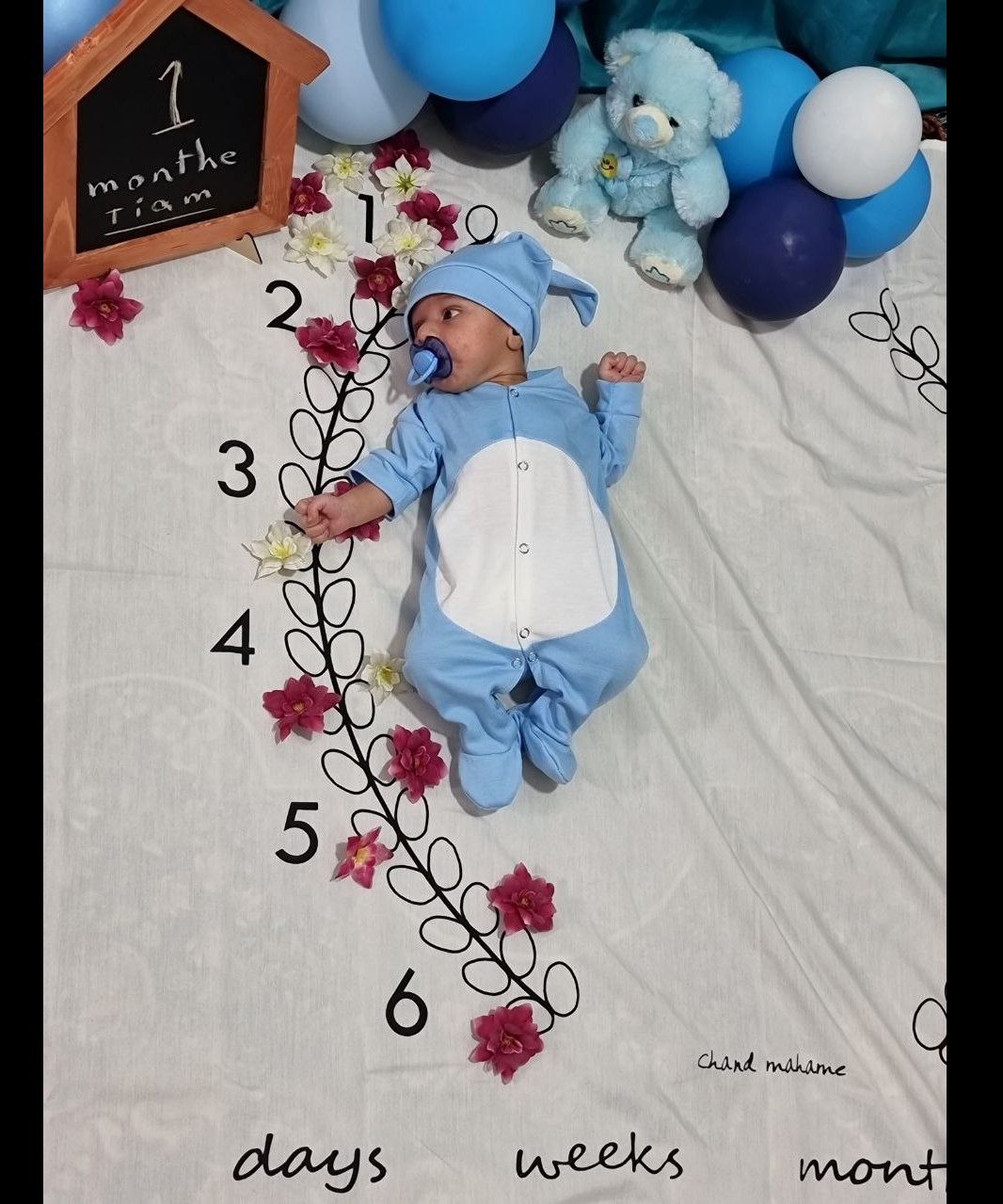 یک-ماهگی تیام