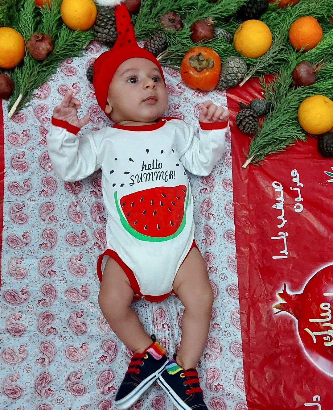 عکاسی با میوه تیام