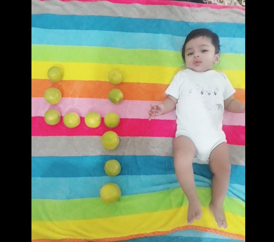 عکاسی با میوه ماهان دریس