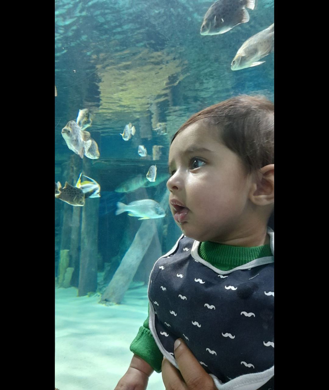 اولین-سفر ماهان دریس