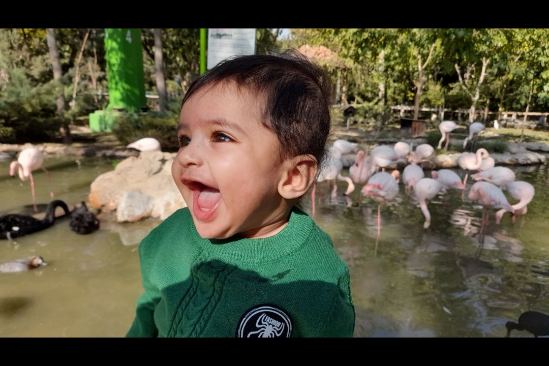 عشق-مامان-و-بابا ماهان دریس