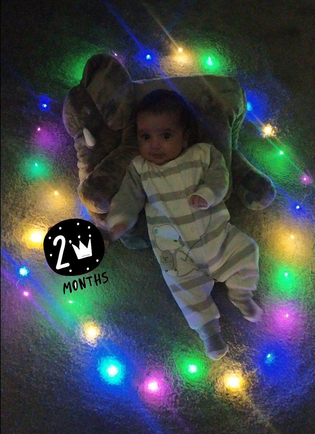 یک-ماهگیایده-عکس-ماهگرد امیرعلی همیونی