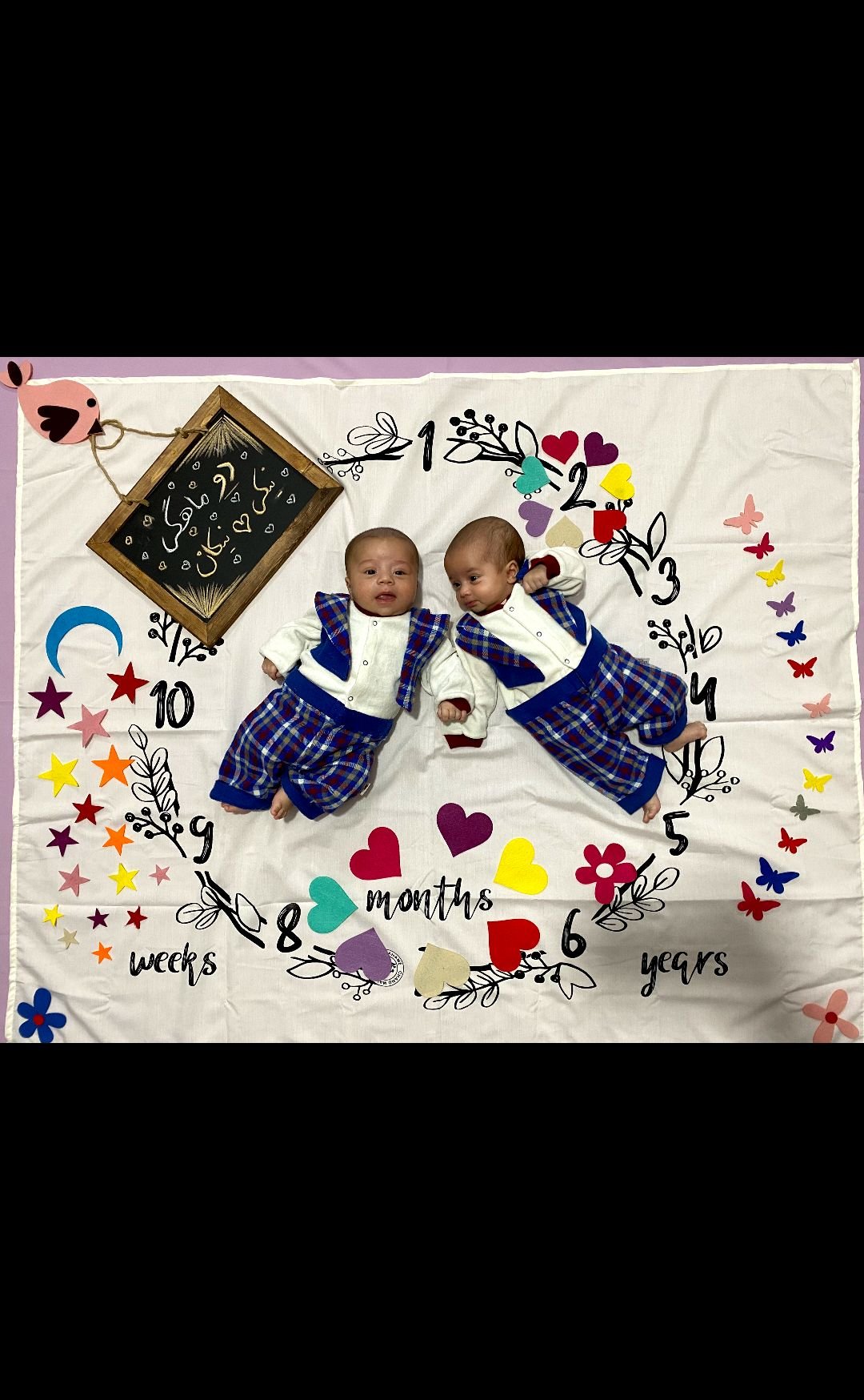 دوقلو-های-من نیکان طاهری