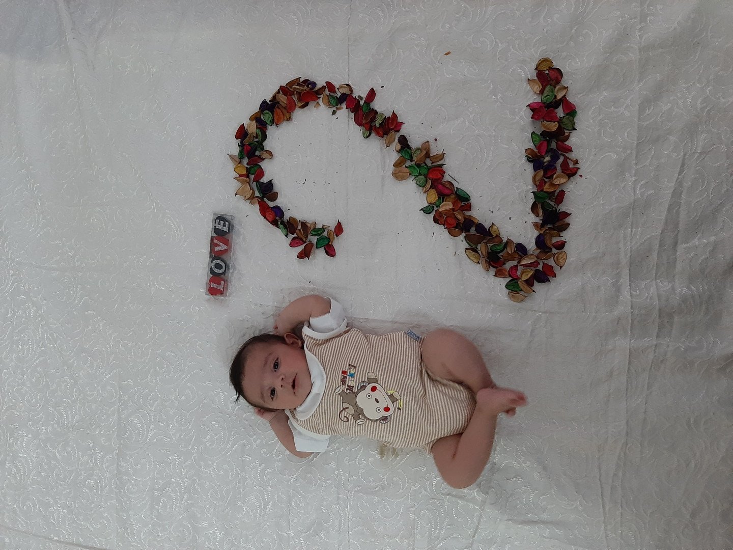 اولین خنده نوزاد اروین سفری