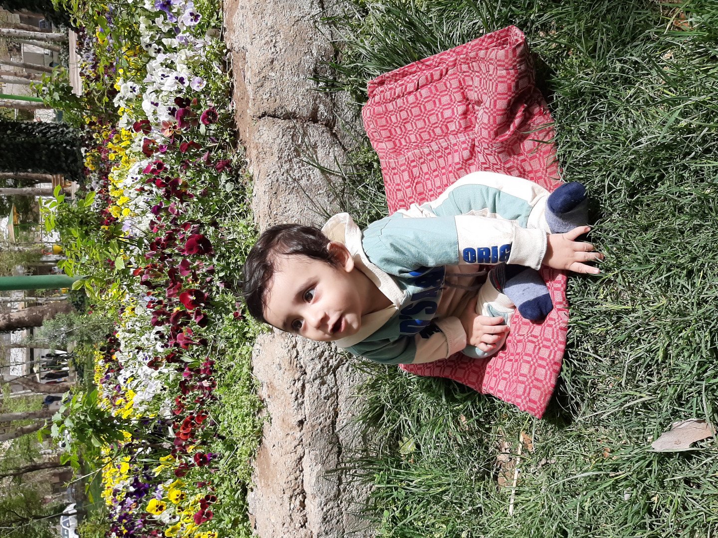 نه ماهگی نوزاد اروین سفری