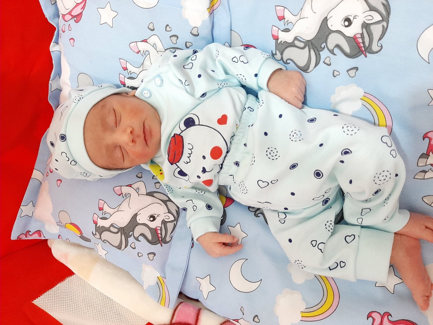 متولد شدن نوزاد اروین سفری