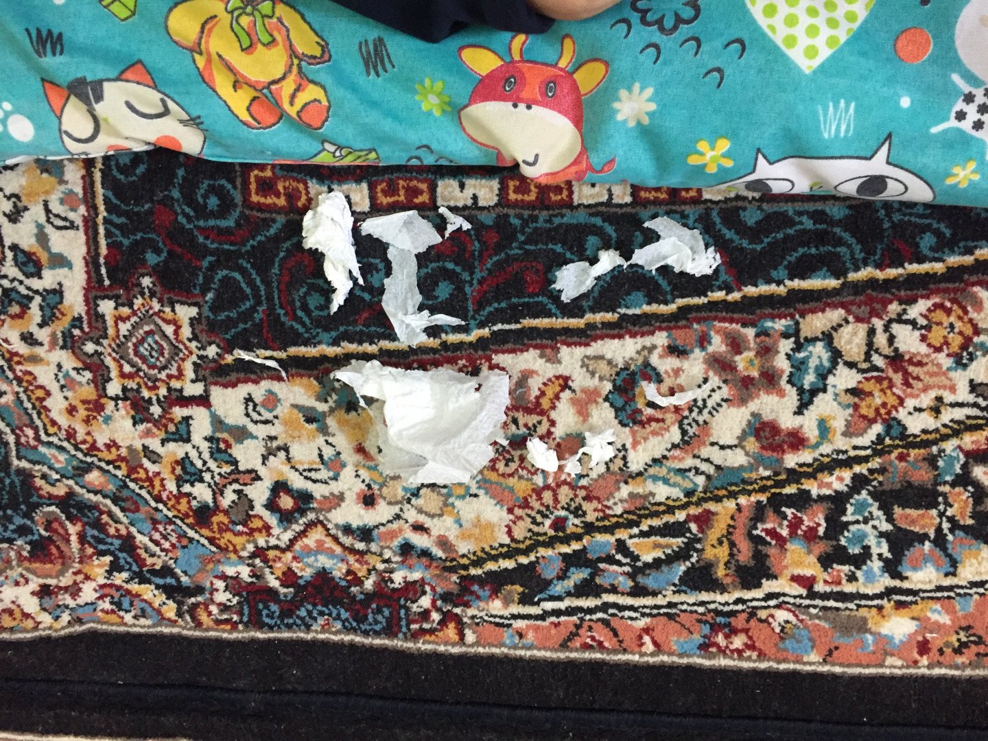 غلتیدن نوزاد ياسان جعفري