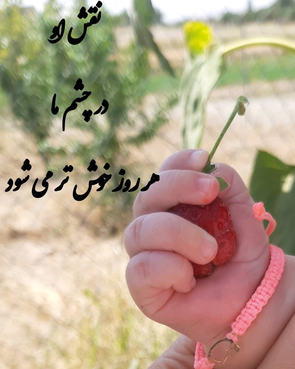 غلتیدن نوزاد مهرسا رضایی