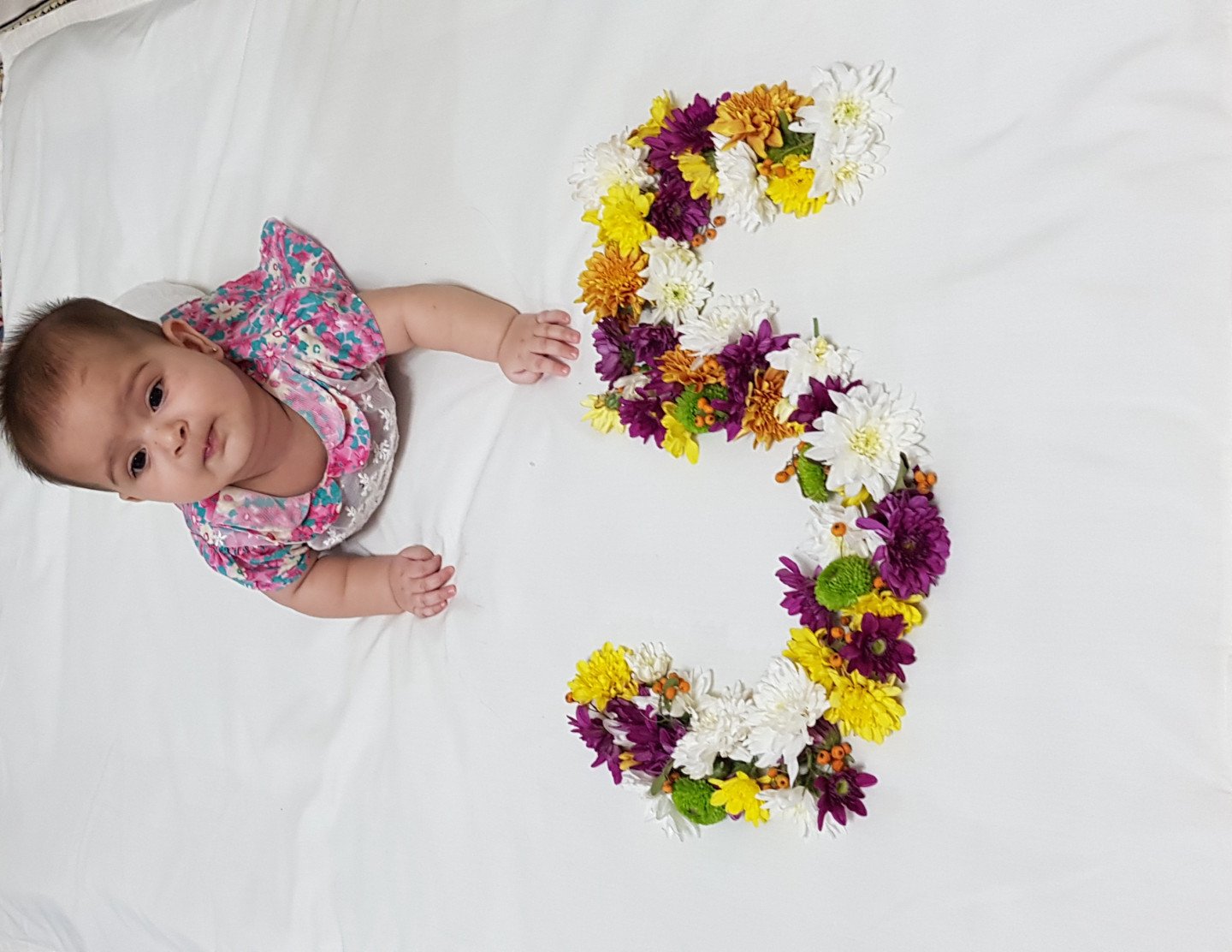 تم عکس تابستانی کودک مهرسا رضایی