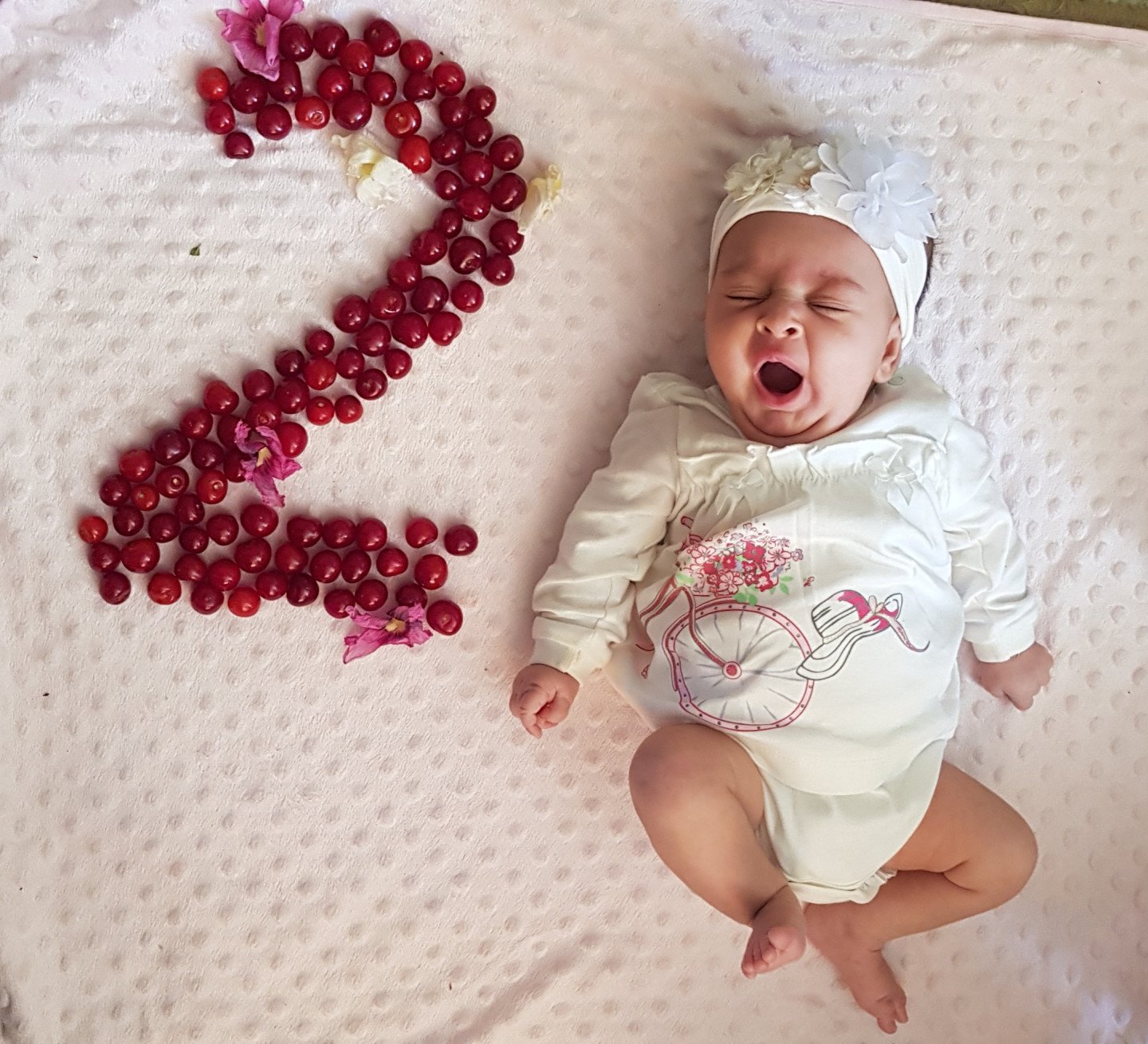 عکاسی با میوه مهرسا رضایی