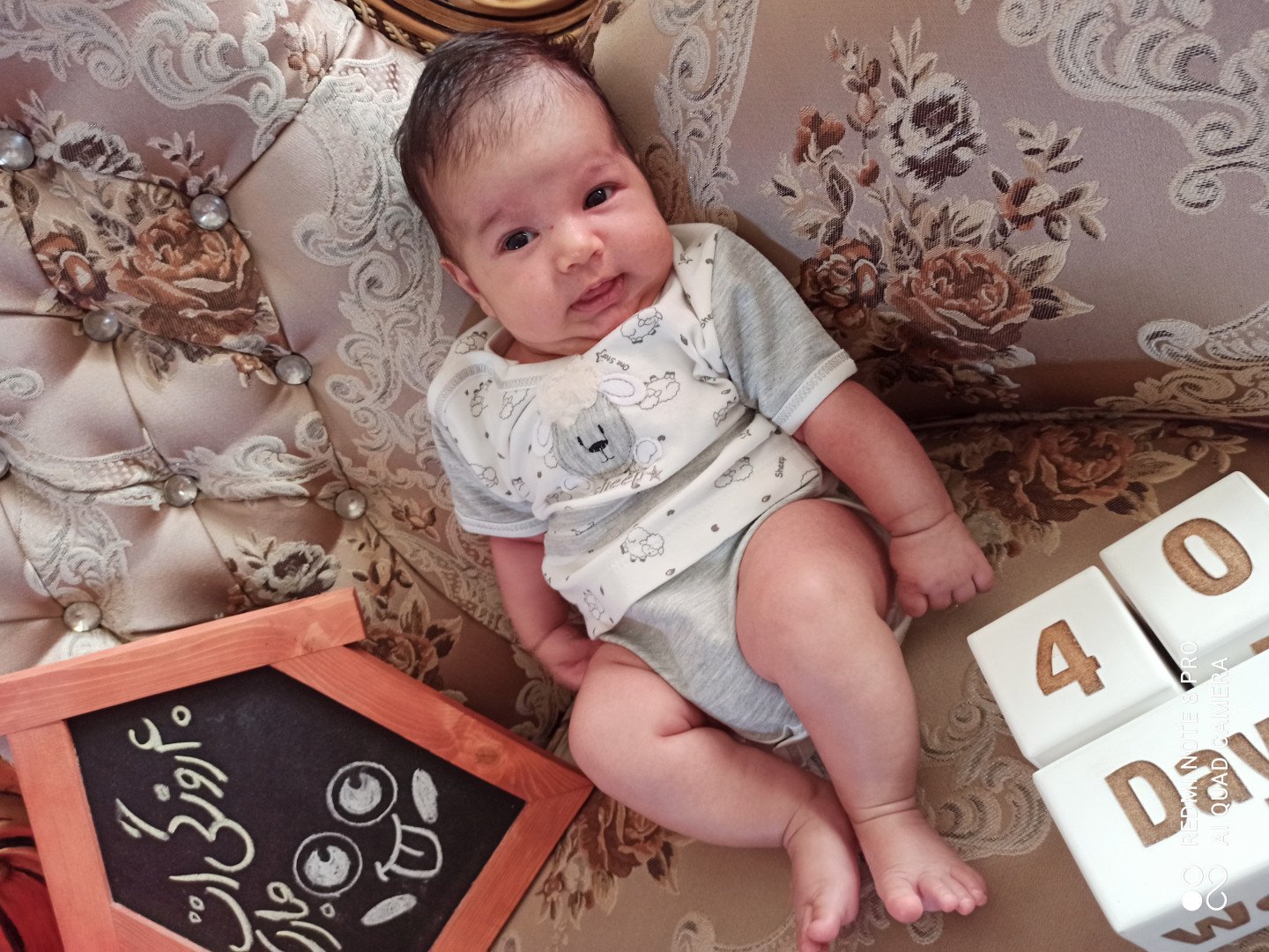 تخته-سیاه- آلونک-49655