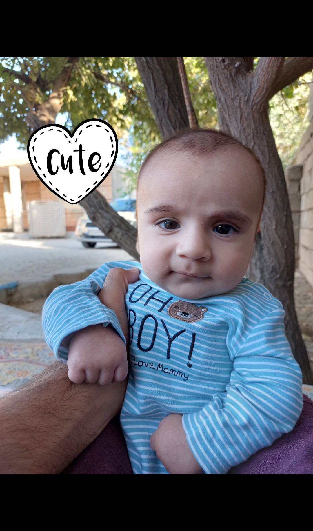 عشق حامی حاتمی