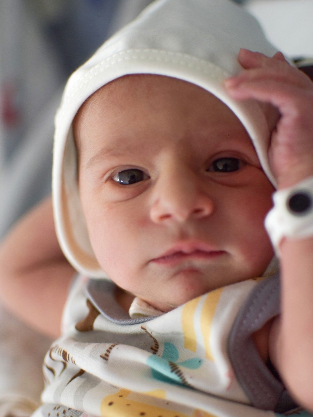 متولد شدن نوزاد کیارش پیرحیاتی