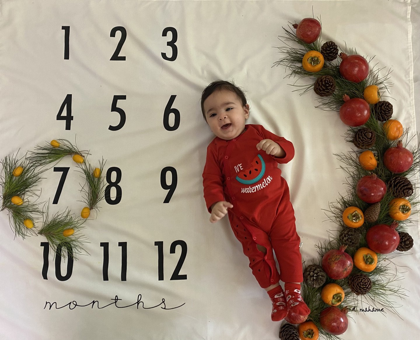 تم عکس پاییزی نوزاد دانیال کیانی